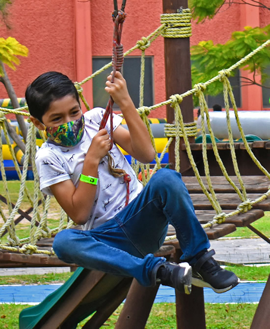 Portfolio Image